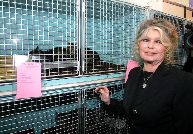 Brigitte Bardot, Brigitte Bardot actriz,