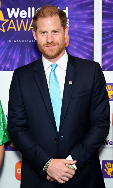 pr&iacute;ncipe Harry, premios WellChild, Harry y Meghan