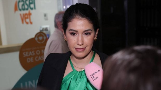 Bert&iacute;n Osborne, Gabriela Guill&eacute;n