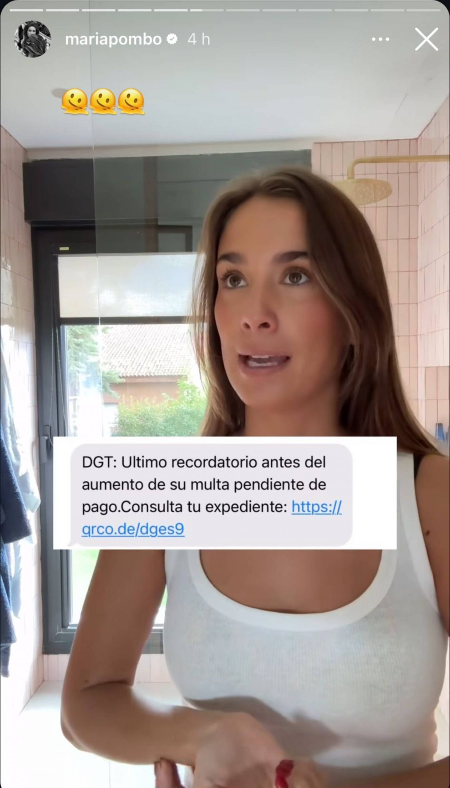 Mar&iacute;a Pombo, Pombo, estafa Mar&iacute;a Pombo