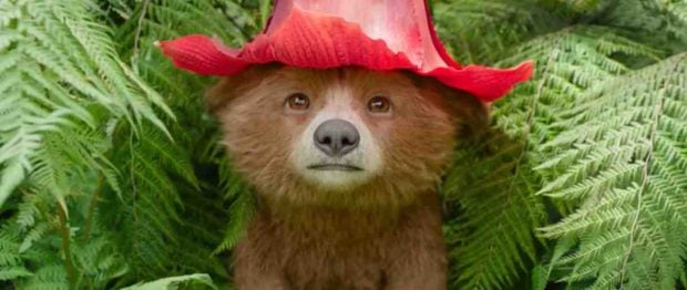 Oso Paddington en la pr&oacute;xima pel&iacute;cula Paddington en Per&uacute;. (Foto: Youtube)