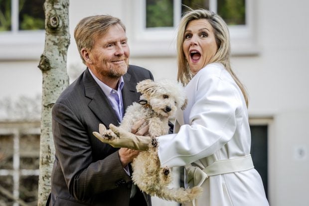 familia real holanda, m&aacute;xima de holanda, amalia holanda, rey holanda