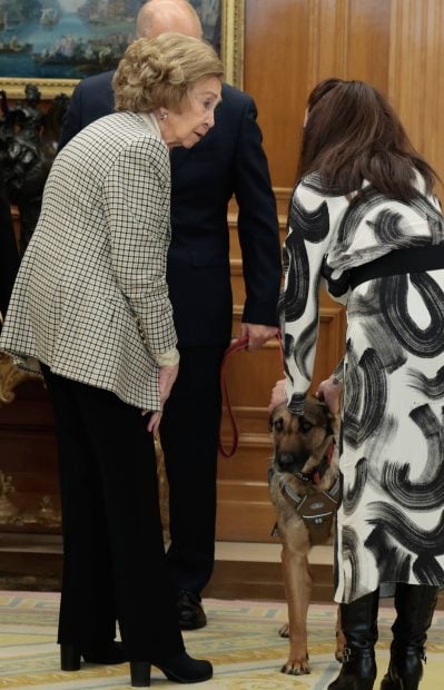 Do&ntilde;a Sof&iacute;a, perro do&ntilde;a Sof&iacute;a