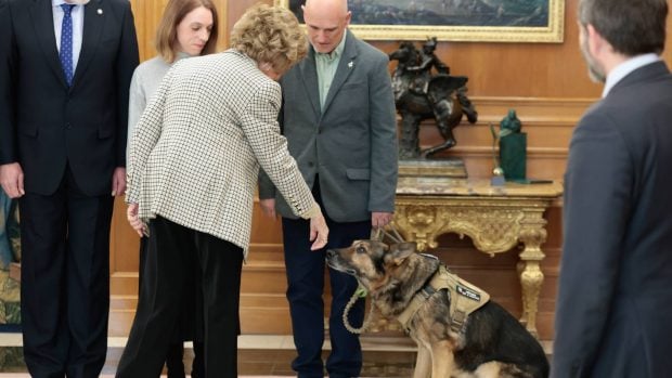 Do&ntilde;a Sof&iacute;a, perro do&ntilde;a Sof&iacute;a