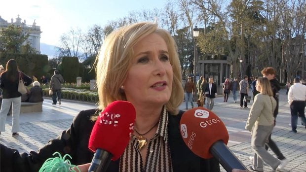 Nieves Herrero, Revilla, juan carlos, rey juan carlos demanda, rey juan carlos