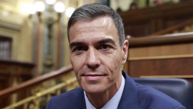 Pedro S&aacute;nchez