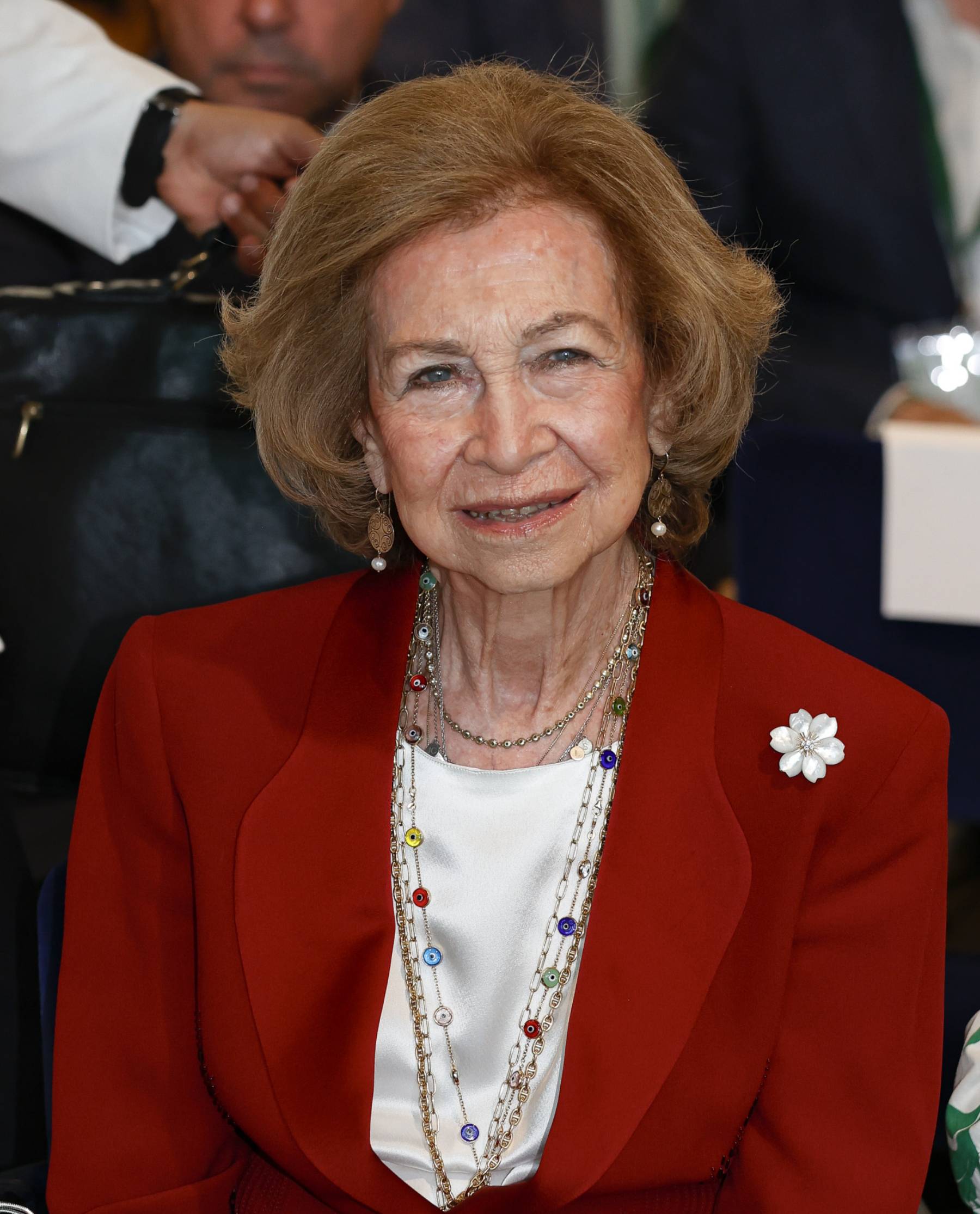 La Reina Sof&iacute;a en un acto oficial. (Foto: Gtres)