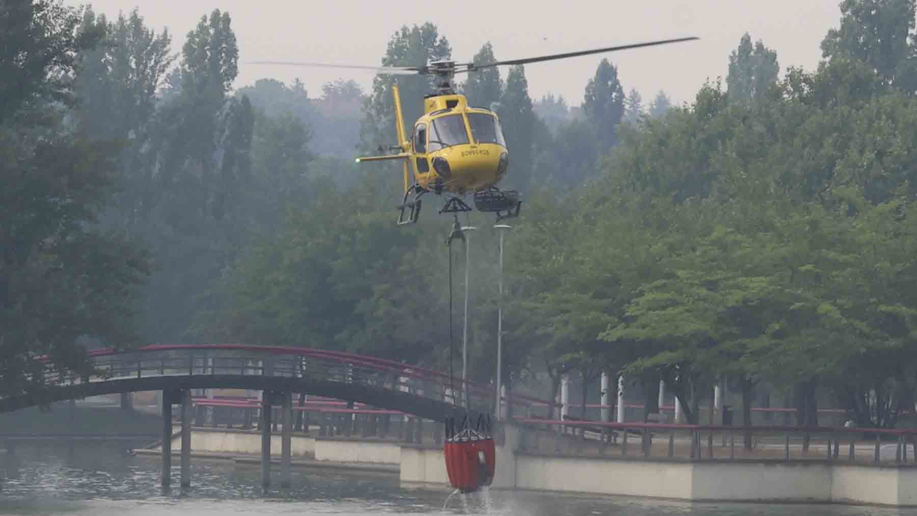 Rey Felipe, incendios