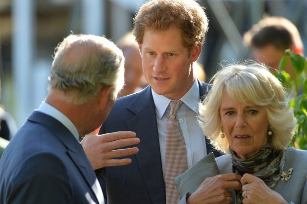 Harry, Meghan, camila, madre meghan