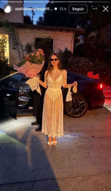 Stella del carmen ,boda stella del carmen. antonio banderas