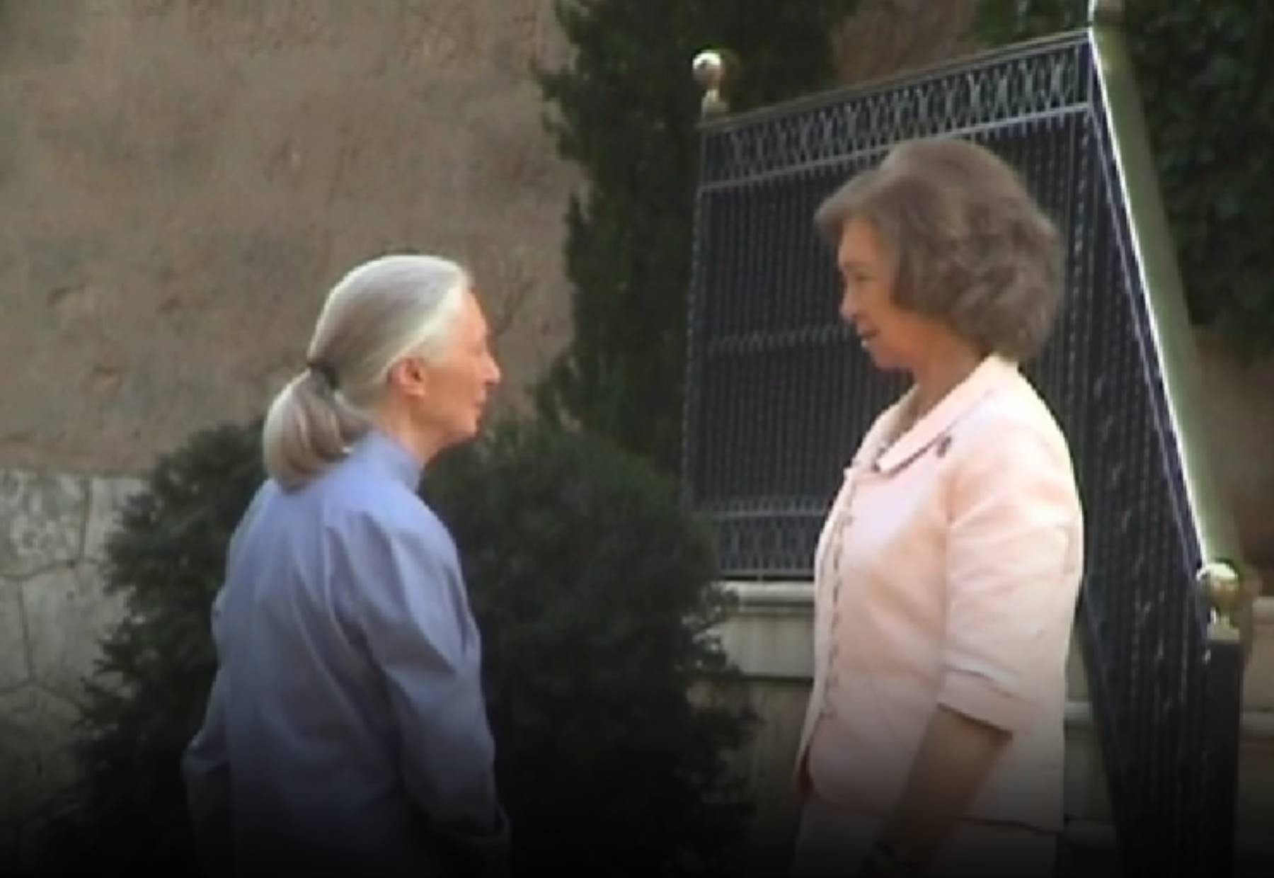 Jane Goodall y la Reina Sof&iacute;a en Oviedo. (Foto: Gtres)