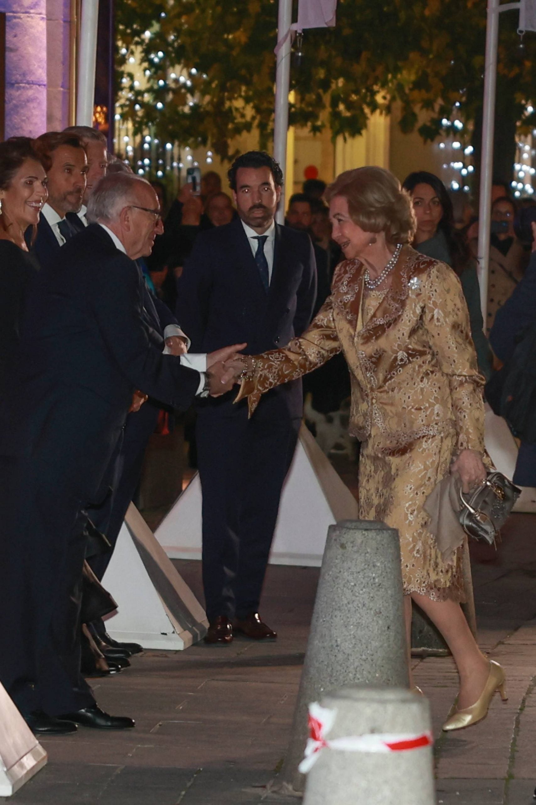 La Reina Sof&iacute;a en un acto oficial. (Foto: Gtres)