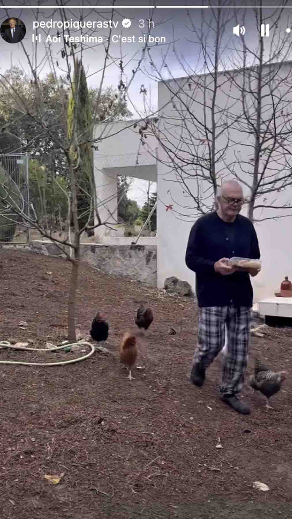 Pedro Piqueras