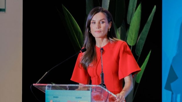 La Reina Letizia pronuncia un discurso durante el D&iacute;a de la Salud Mental. (Foto: Gtres)