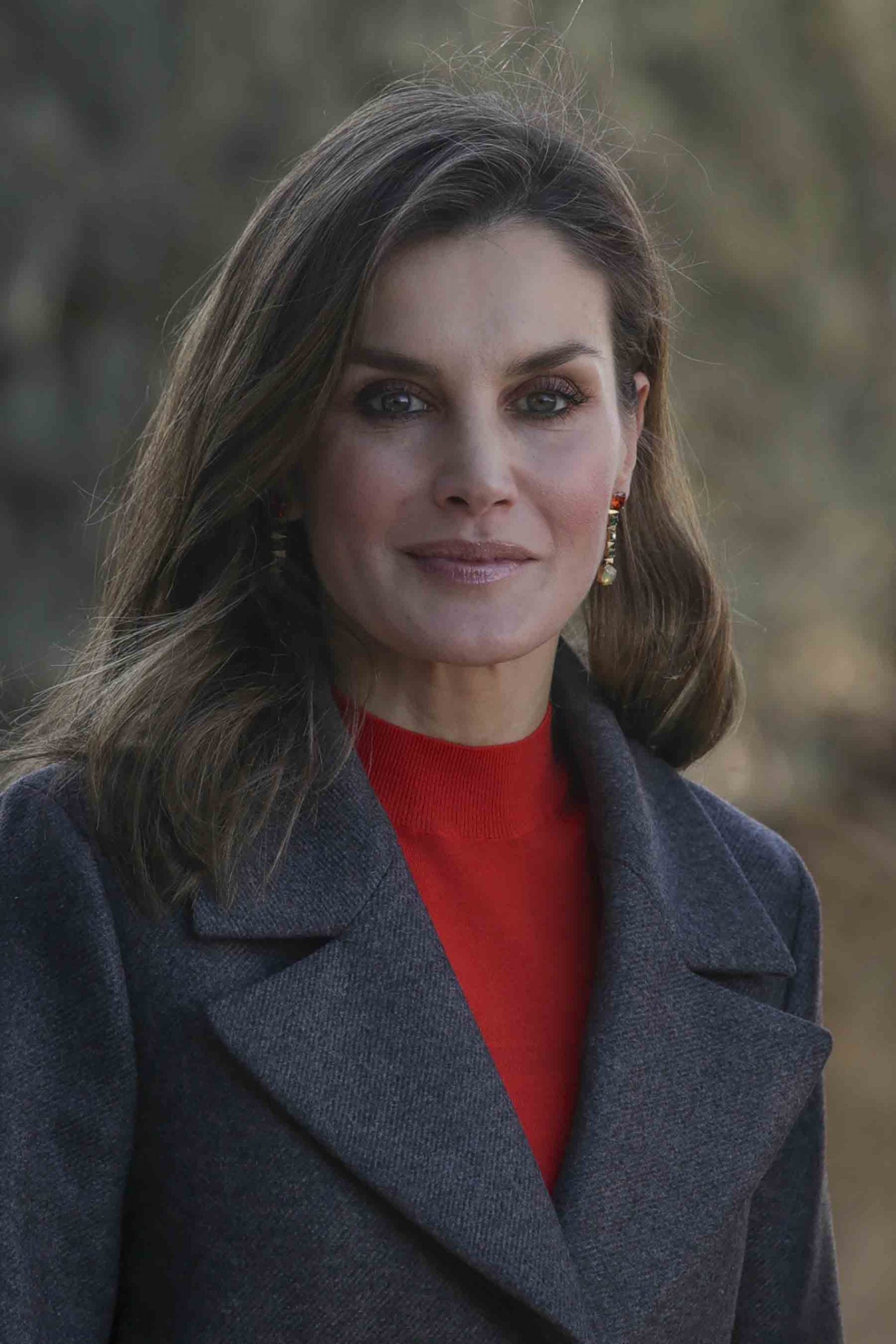Reina Letizia, Lisi Fracchia