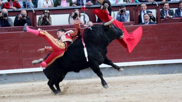 Cogida a Gonzalo Caballero. (Foto: Gtres)