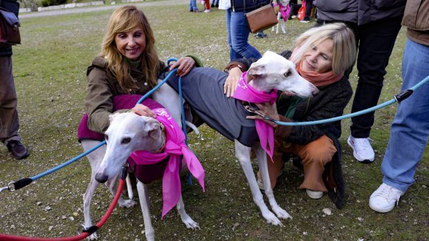 Eugenia Martínez de Irujo junto a los animales en San Antón. (Foto: Gtres)