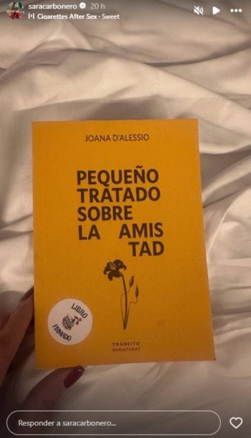 El libro que est&aacute; leyendo Sara Carbonero. (Foto: Gtres)