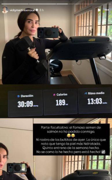 Historia de Instagram de Vicky Mart&iacute;n Berrocal. (Foto: redes sociales)