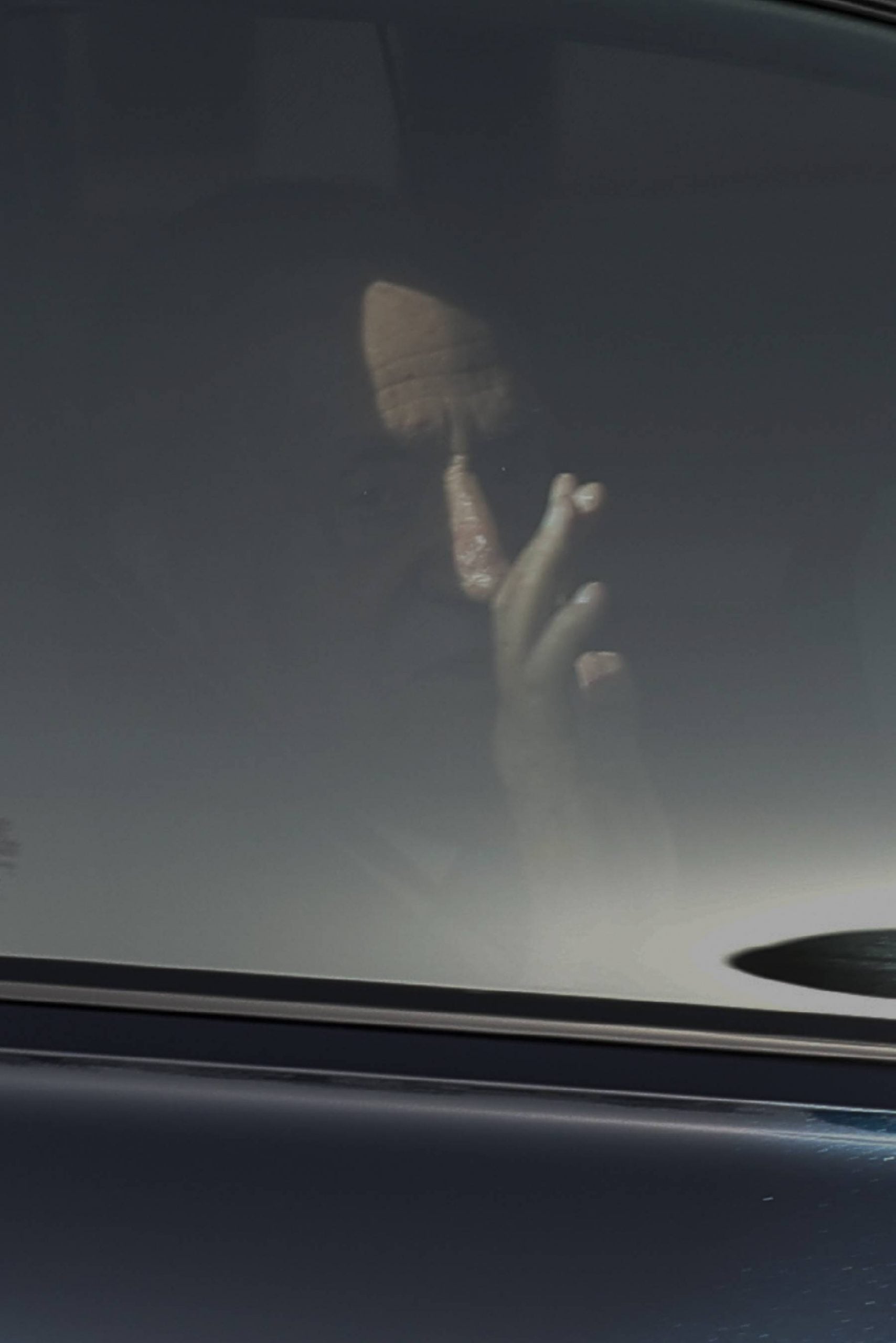 El Rey Juan Carlos I en el interior de un veh&iacute;culo. (Foto: Gtres)