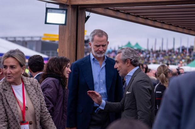 ayuso, felipe vi,