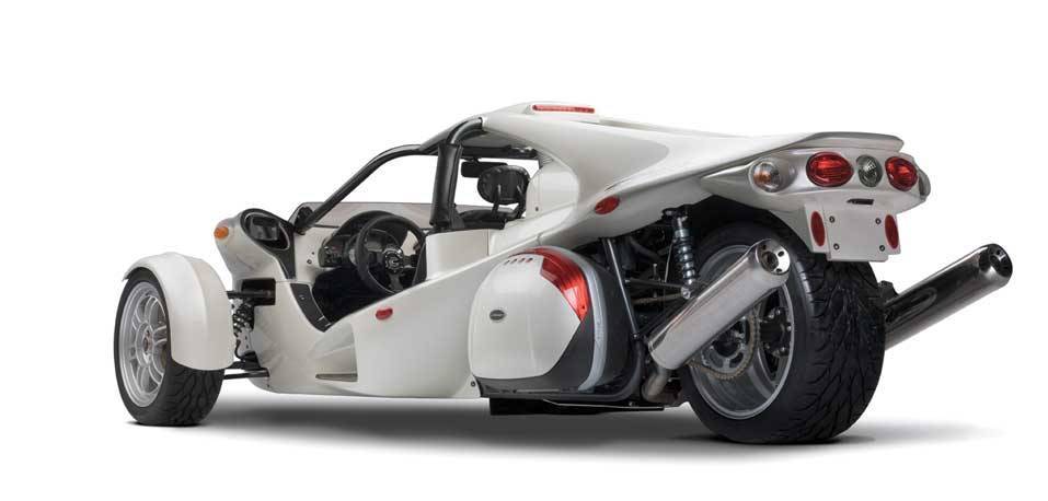 Campagna T-Rex