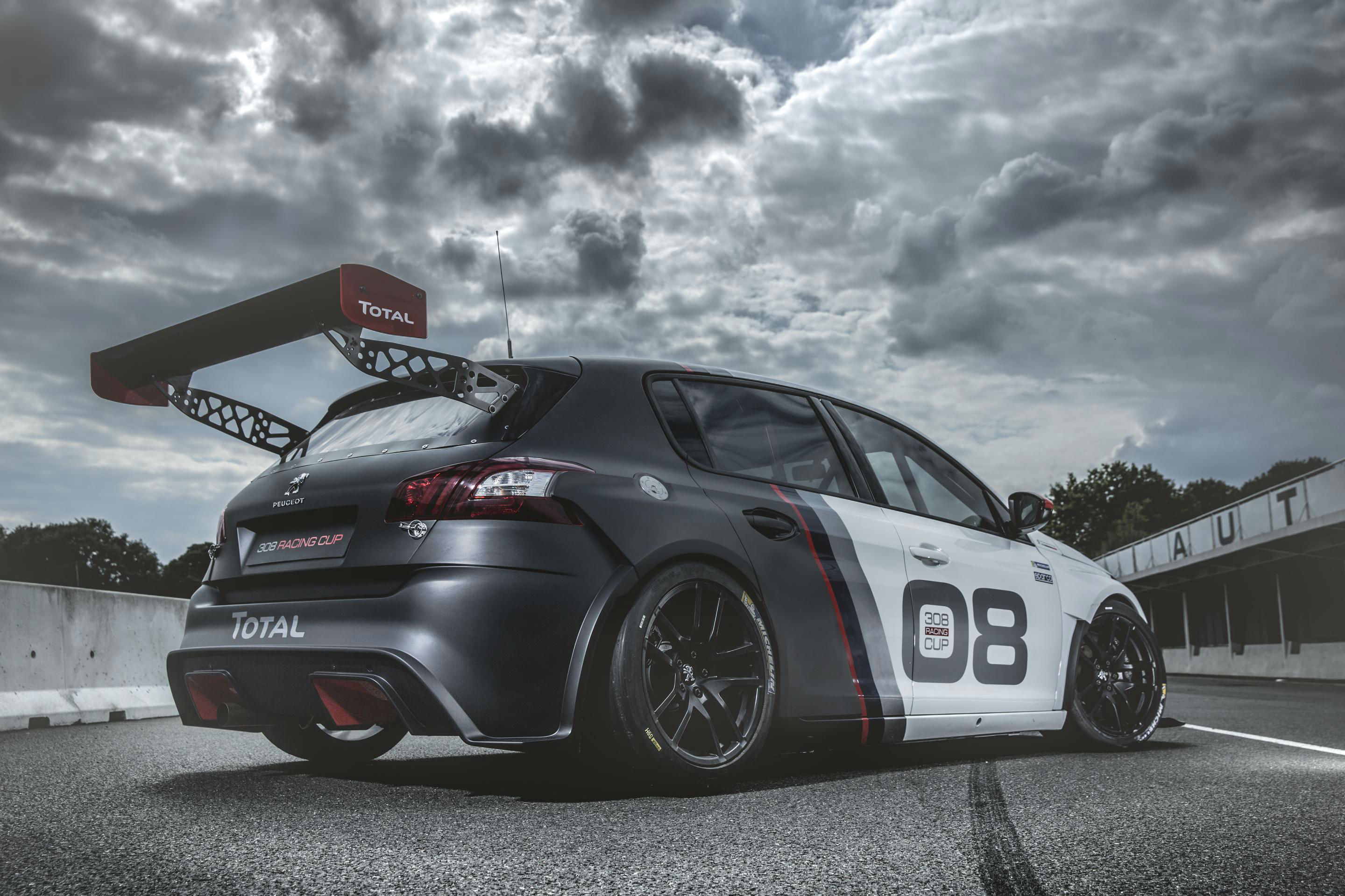 Peugeot 308 Racing Cup 2