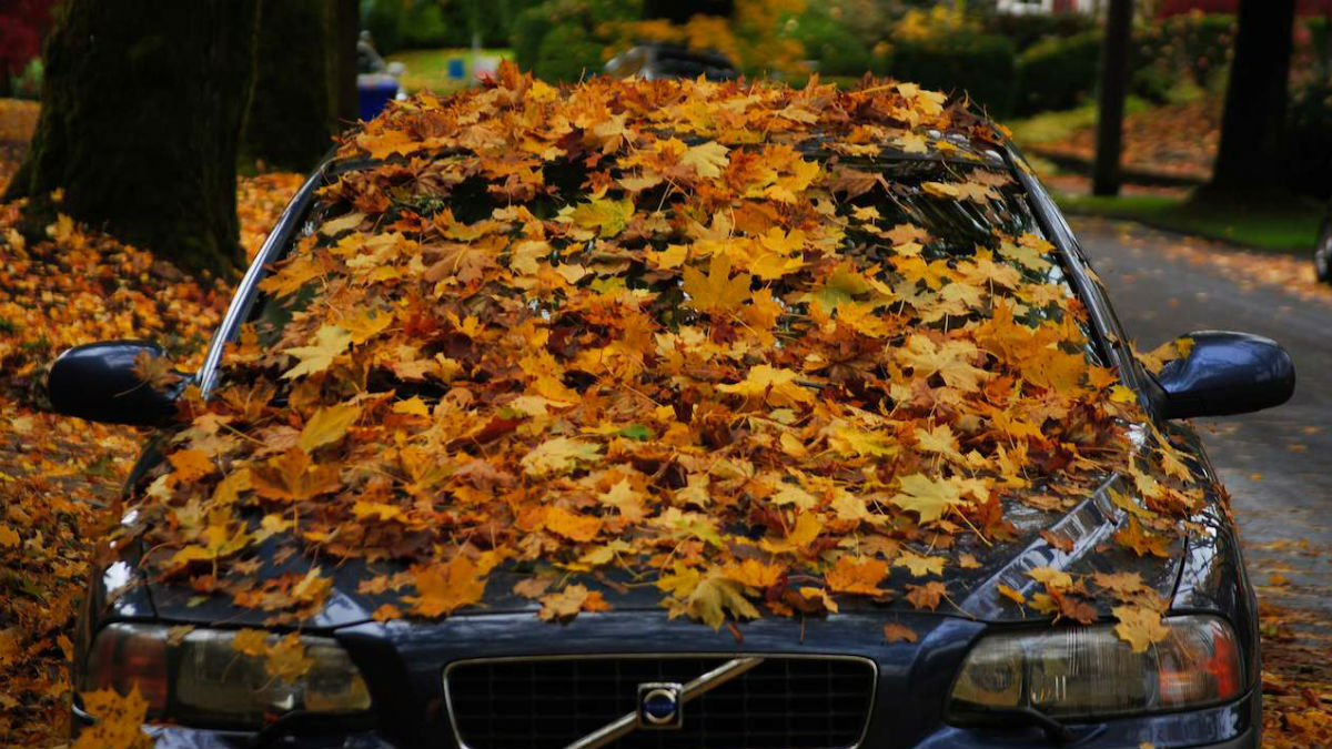volvo-otono