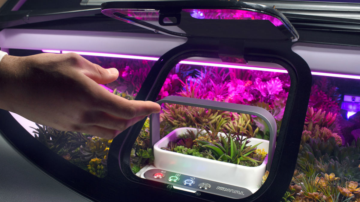 RinSpeed Oasis