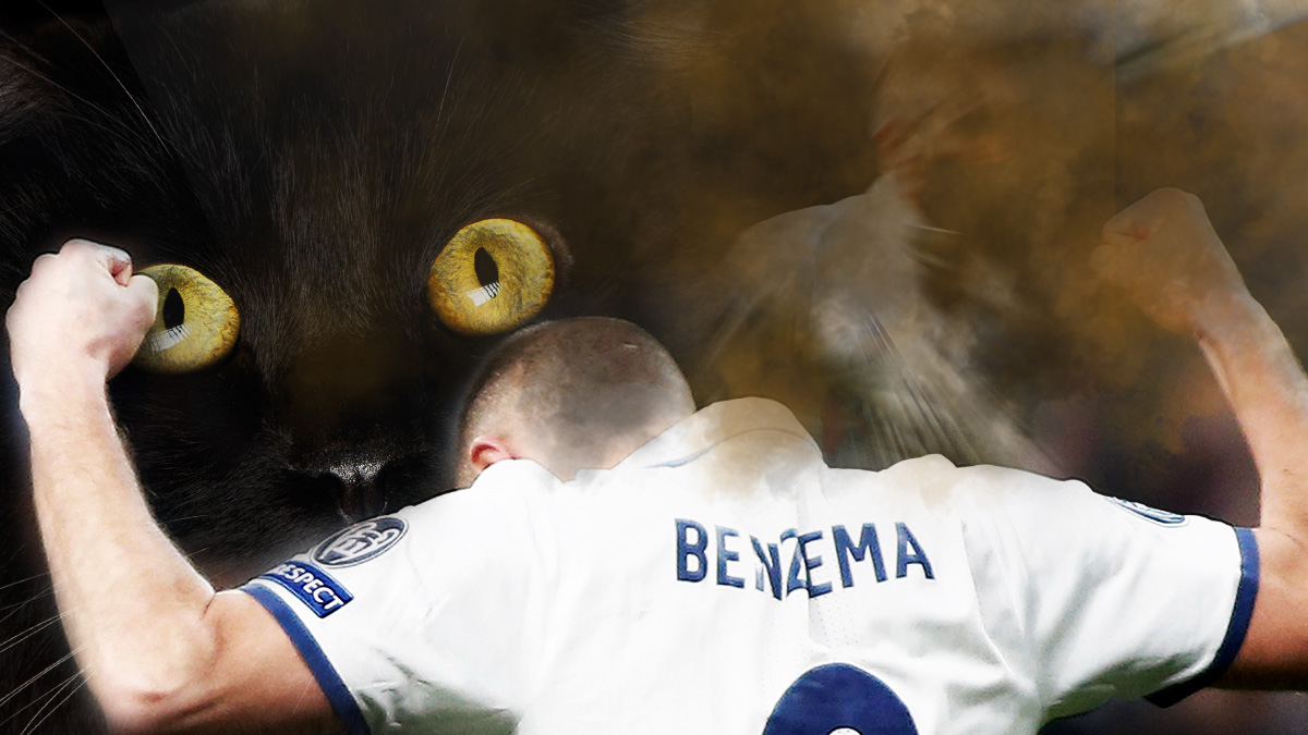 La penúltima vida del gato Benzema