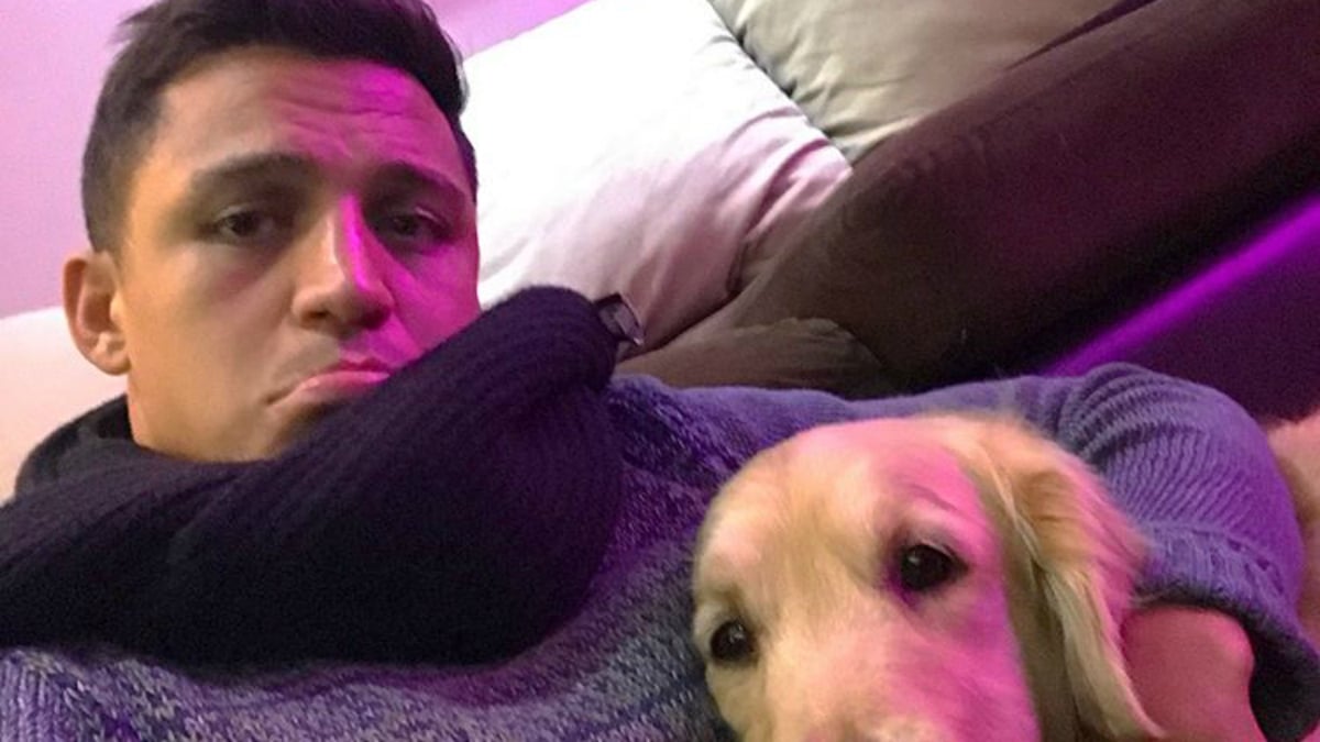 alexis-sanchez-posa-perro-sofa-casa