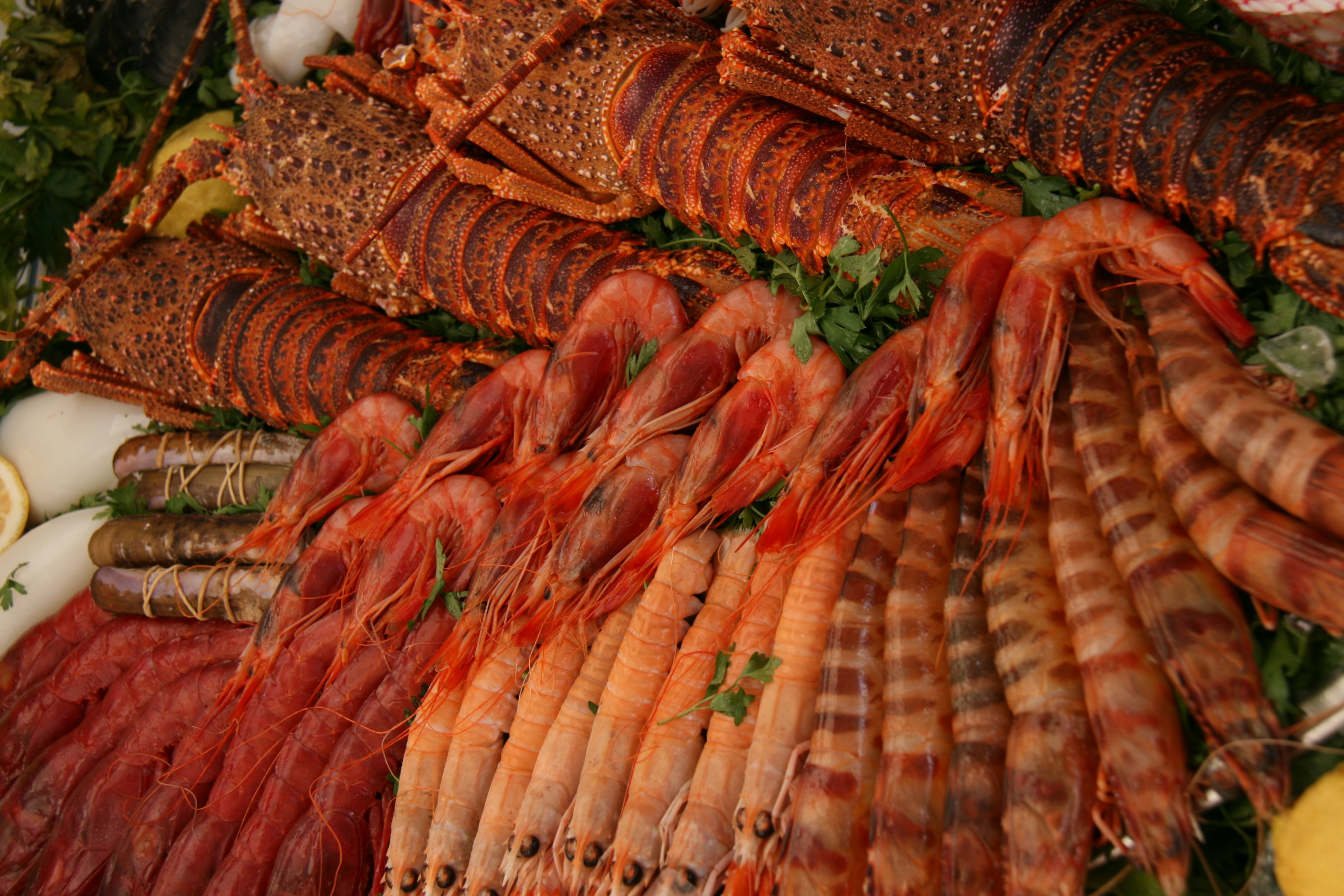 Cómo descongelar marisco y mantener todo su sabor y textura