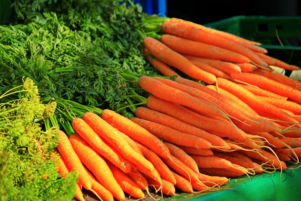 Puré de zanahorias