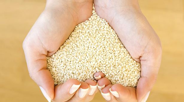 10 beneficios que obtienes al incluir semillas de sésamo en tu dieta