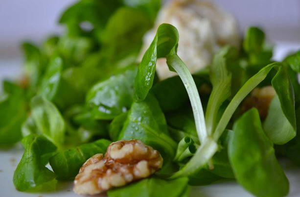 Ensalada de tofu, canónigos y nueces