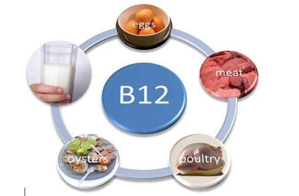 alimentos-b12