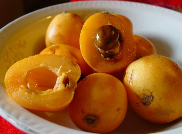 Cuantas calorias tiene un nispero