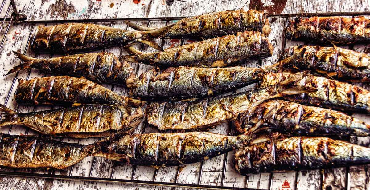 Cantidad de Supervivencia Intenso Receta de sardinas a la plancha al estilo casero