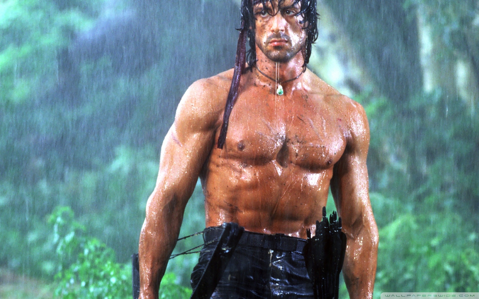 Sylvester Stallone  no formará parte de ‘Rambo: New Blood’