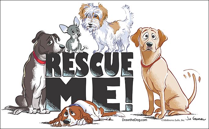 Rescue Me, la app para la adopción de perros