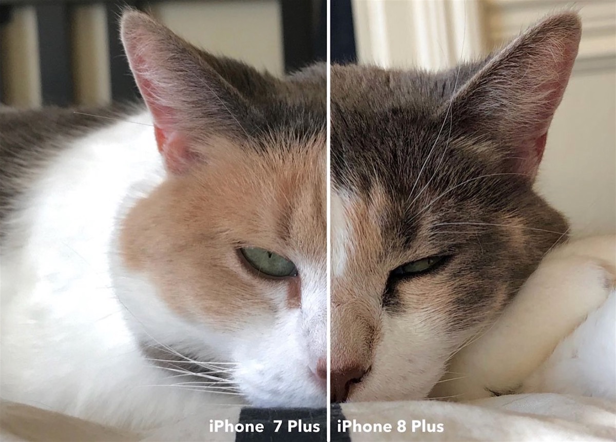 Pruebas CNET iPhone 7 vs iPhone 8