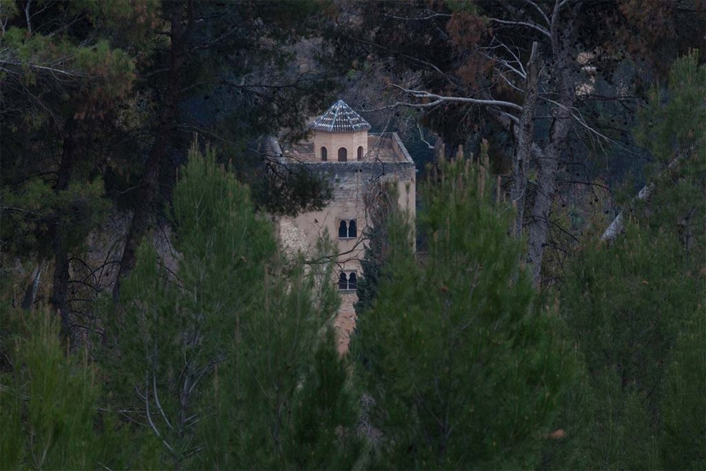 Visita la Torre de las Infantas de la Alhambra en septiembre