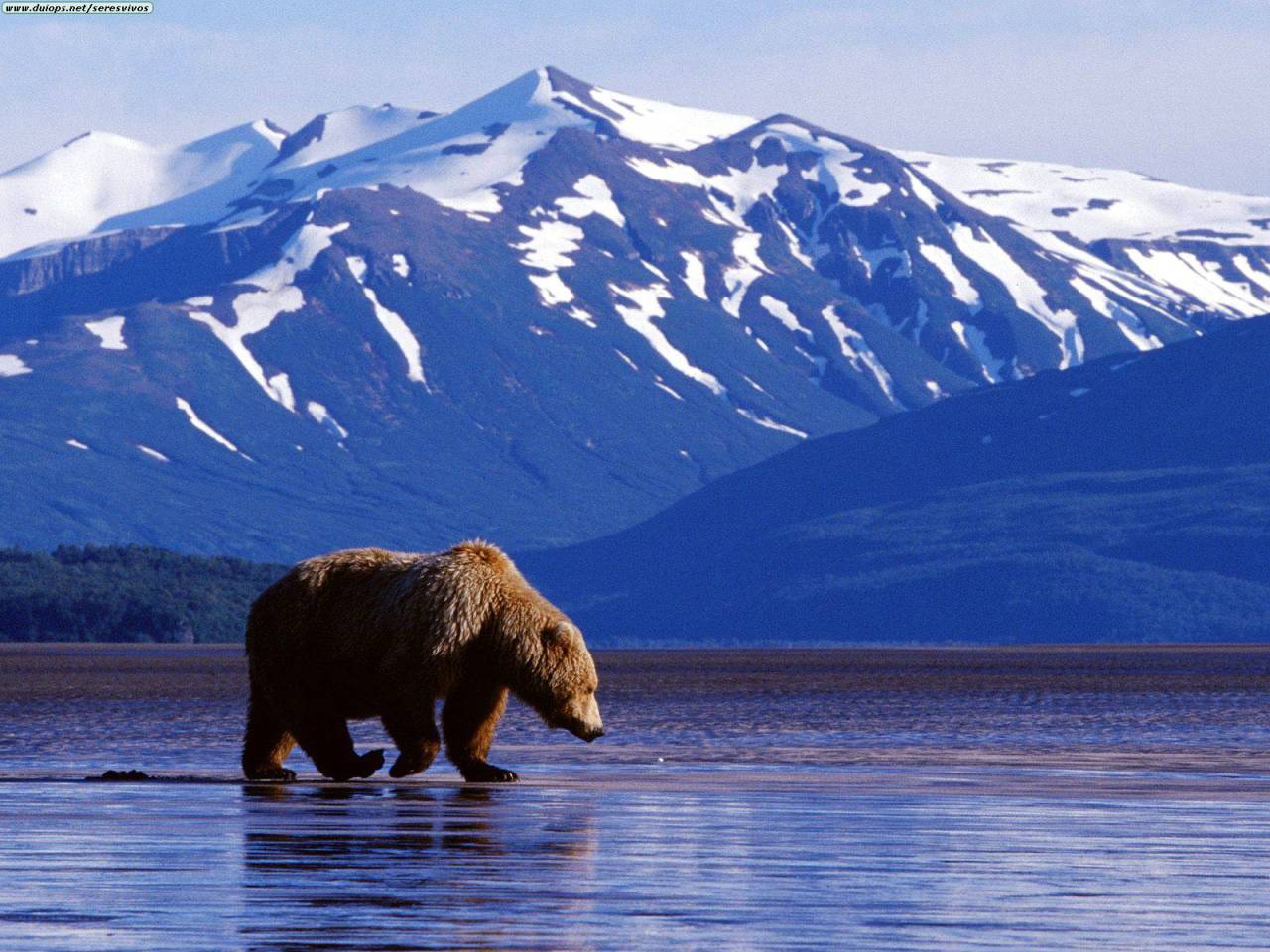 Alaska, la gran desconocida