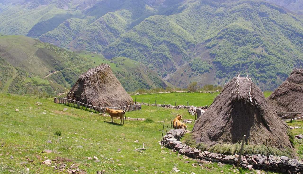 En busca de tejados vegetales por tierras celtas de Asturias e Irlanda