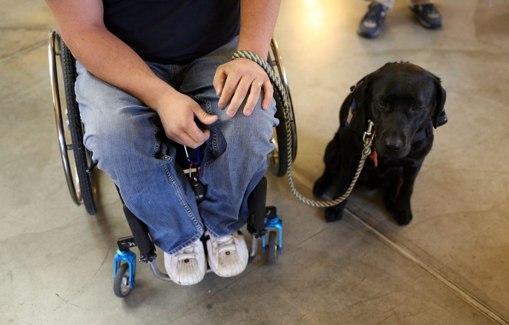 Service Dogs Aid War Veterans Upon Return To U.S.