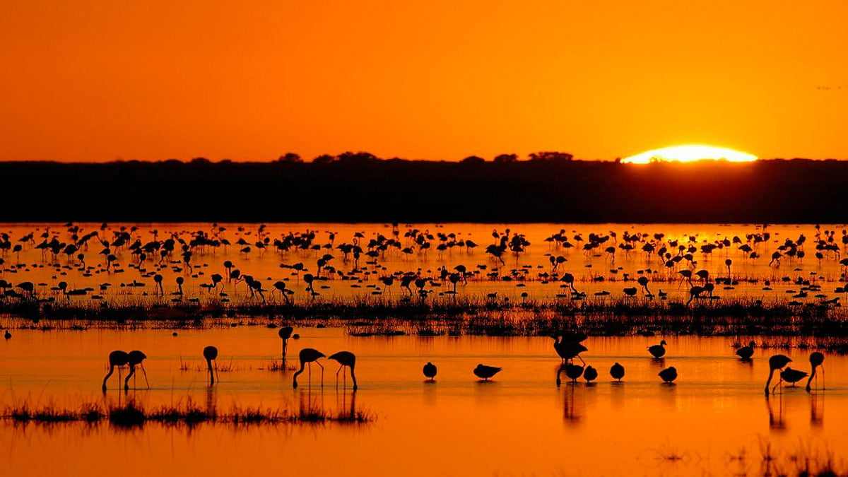 Conoce los Parques Nacionales más bellos de España