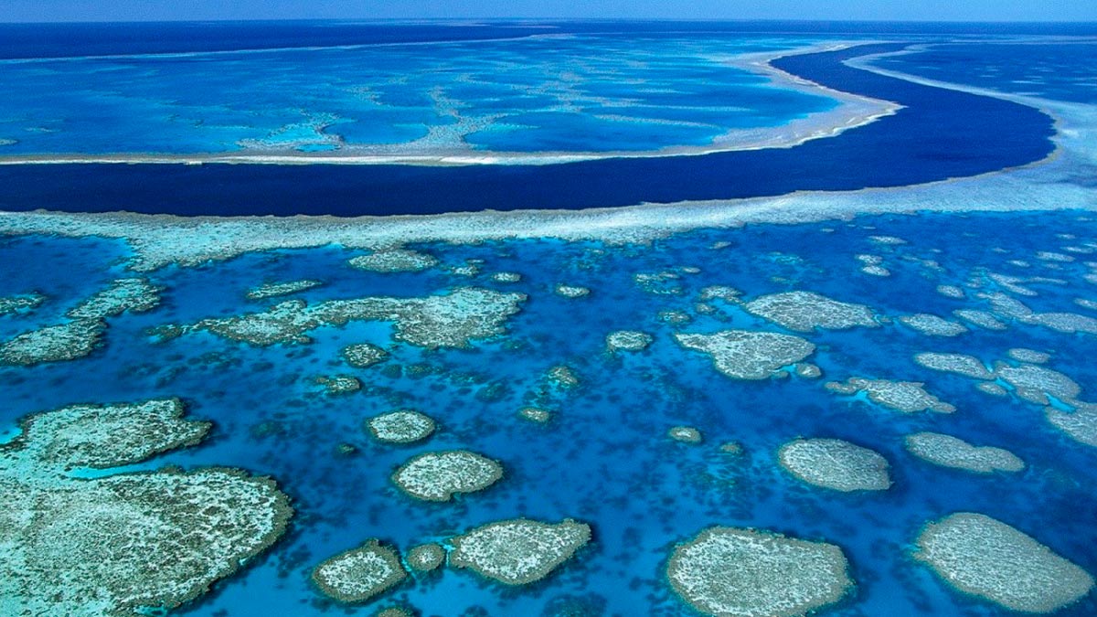 Los arrecifes de coral más visitados del mundo