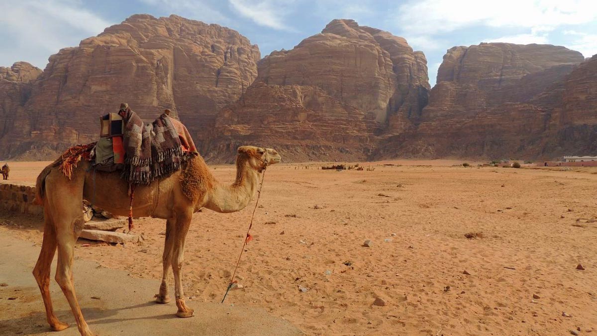 Los mejores destinos para realizar rutas a camello
