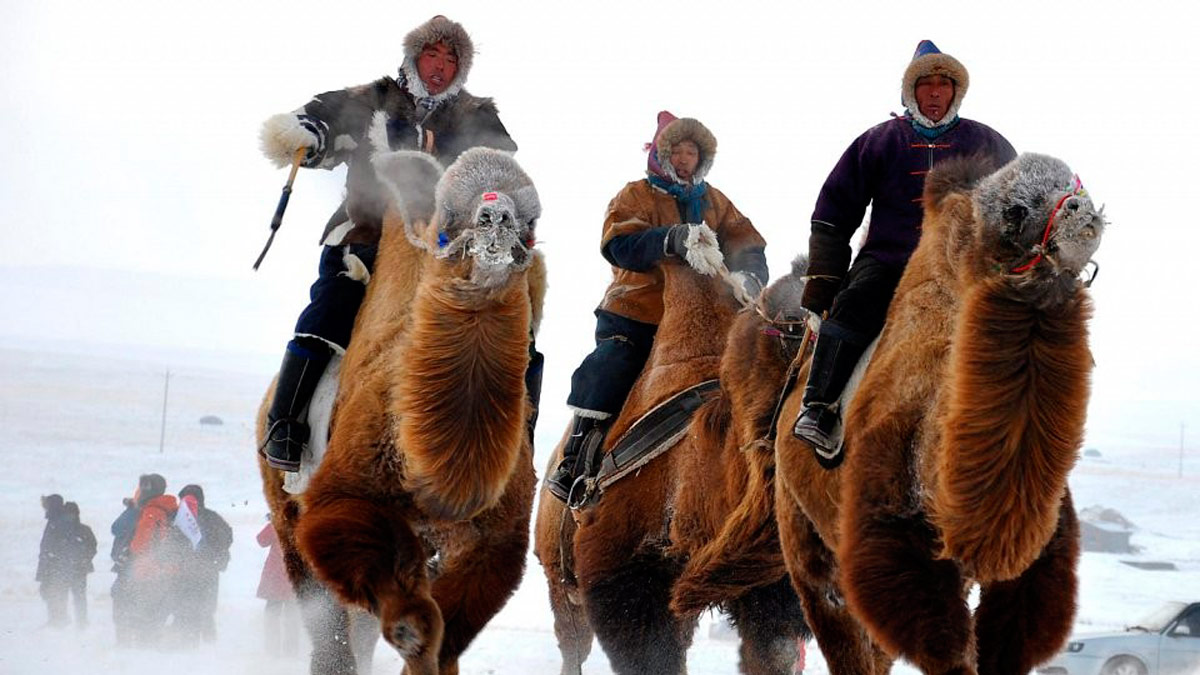 Los mejores destinos para realizar rutas a camello