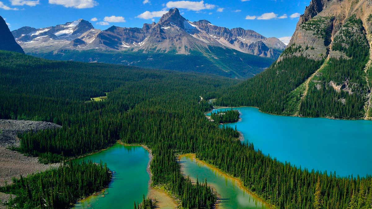 ¡Oferta! Canadá y sus Parques Naturales de forma gratuita